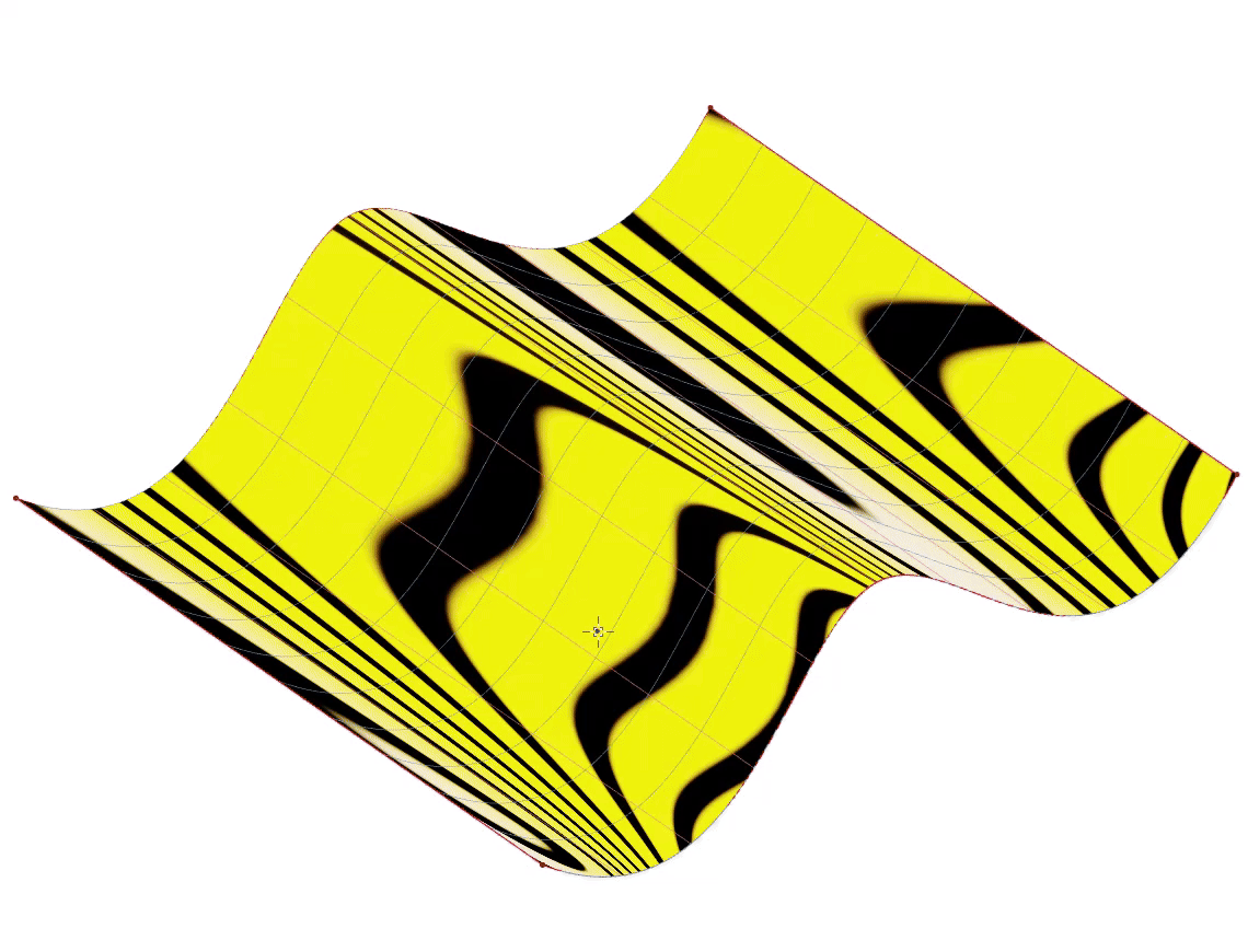 Isophotes - Zebra Isophotes - Zebra
